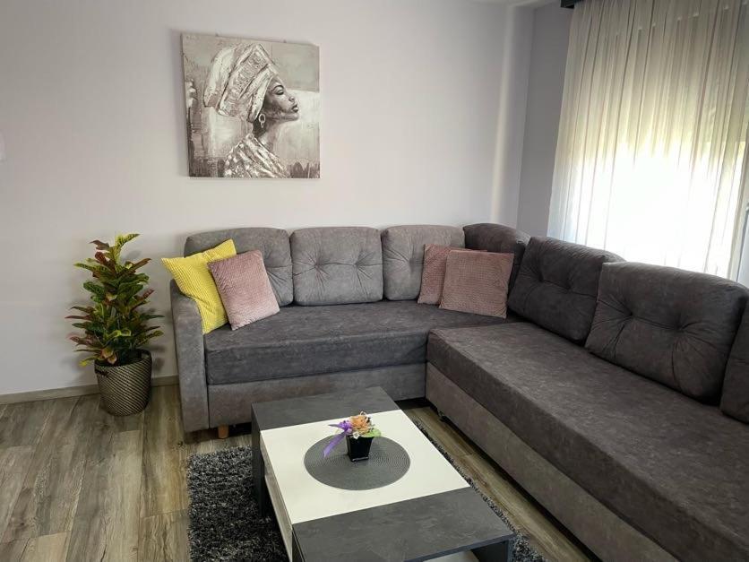 Apartments Dora Sveti Martin na Muri Exteriör bild